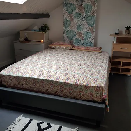 Maison Entiere 6 A 8 Personnes Au Mans Proche Circuit Le Mans